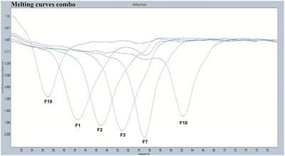 Detection of Five Types of HPV Genotypes Causing Anogenital Warts (Condyloma Acuminatum) Using PCR-Tm Analysis Technology